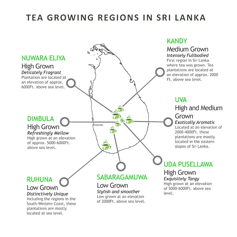 Tea Growing Elevations in Sri Lanka